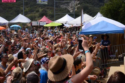 DSC_2087 (Large).JPG